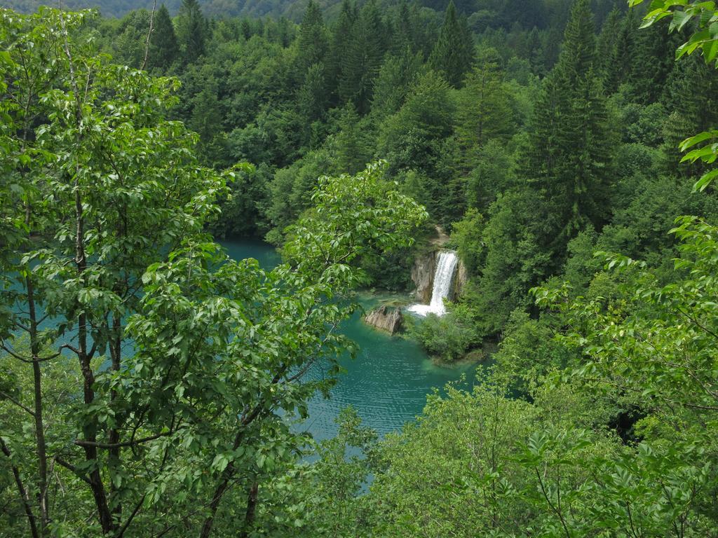 Apartment Near The Lakes Plitvicka Jezera Bagian luar foto
